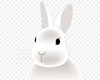 Domestic rabbit Hare Easter Bunny Whiskers - rabbit 