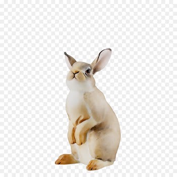 Domestic rabbit Hare Figurine Snout -  