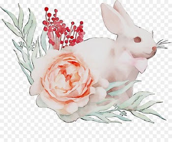 Domestic Rabbit, Hare, Floral Design, Rabbit, Rabbits And Hares PNG