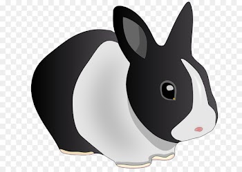 Domestic rabbit Hare Holland Lop Easter Bunny Clip art - Rabbit drawing 