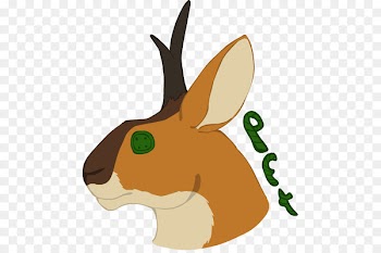 Domestic Rabbit, Hare, Macropods, Cartoon, Nose PNG