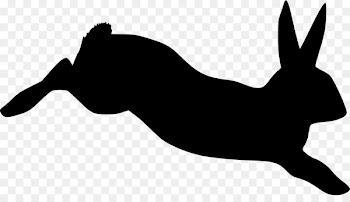 Domestic Rabbit, Hare, Rabbit, Tail, Blackandwhite PNG