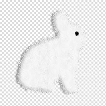 Domestic rabbit Hare Rat Whiskers Dog, Cute white rabbit transparent background PNG clipart
