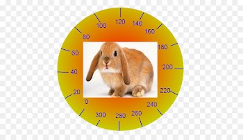 Domestic rabbit Leporids Easter Map - speedometers 