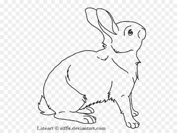 Domestic rabbit Line art Hare - rabbit 