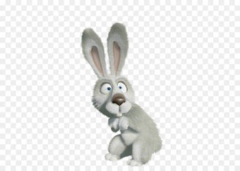 Domestic rabbit Photography animation Russia Hare -  
