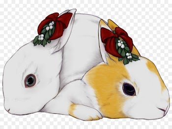 Domestic Rabbit, Rabbit, European Rabbit, Rabbits And Hares PNG