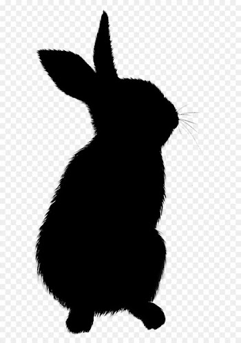 Domestic rabbit Whiskers Hare Cat Paw -  