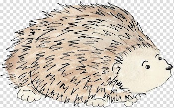 Domesticated hedgehog Beaver Porcupine Whiskers, Hedgehog watercolor transparent background PNG clipart