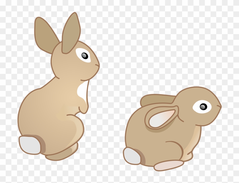 Doméstica Conejo Conejo Europeo De Dibujos Animados - Rabbit
