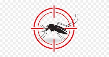 Don't Let Biting Insects Steal Your Party, Whether - Mosquito Vector