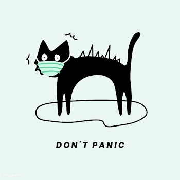 Don't panic black cat social template vector | Free  vector - 2300438