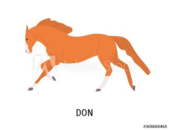 Don horse flat vector illustration