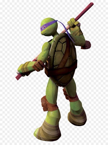 Donatello Leonardo Michaelangelo Raphael Turtle - turtle 