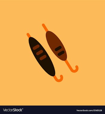Doner kebab on pole vector image