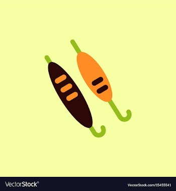 Doner kebab on pole vector image
