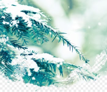 Dongzhi Northern Hemisphere Winter solstice Solar term - Snow Pine 