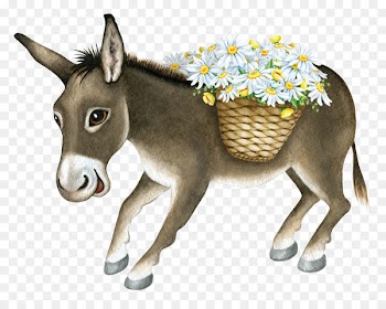 Donkey Christmas Photography Creative Market Illustration - Little donkey 