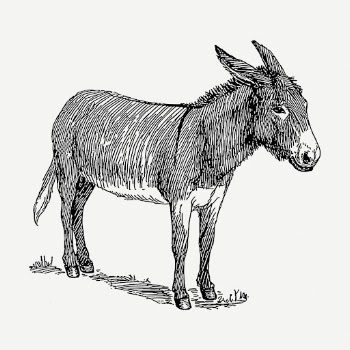 Donkey drawing, animal vintage illustration | Free PSD - rawpixel