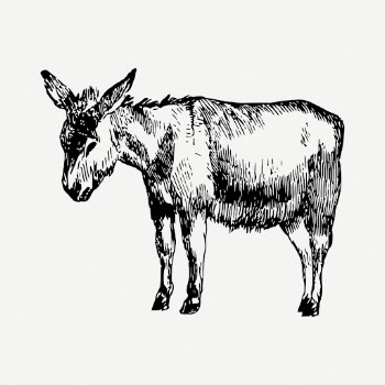 Donkey drawing, farm animal vintage | Free PSD - rawpixel