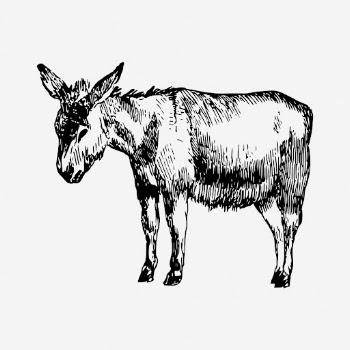 Donkey drawing, vintage farm animal | Free Photo - rawpixel