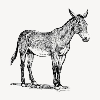 Donkey, farm animal clipart, vintage | Free Vector - rawpixel