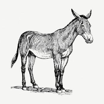 Donkey, farm animal collage element, | Free PSD - rawpixel