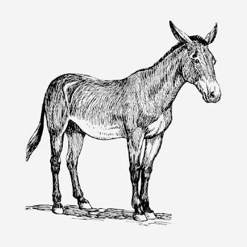Donkey, farm animal hand drawn | Free Photo - rawpixel