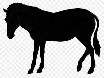 Donkey, Mule, Horse, Mane PNG