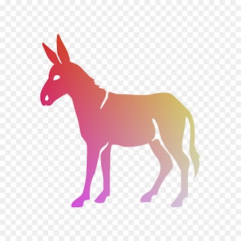 Donkey Mule Vector graphics Royalty-free Stock photography -  