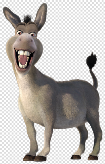 Donkey PNG Image