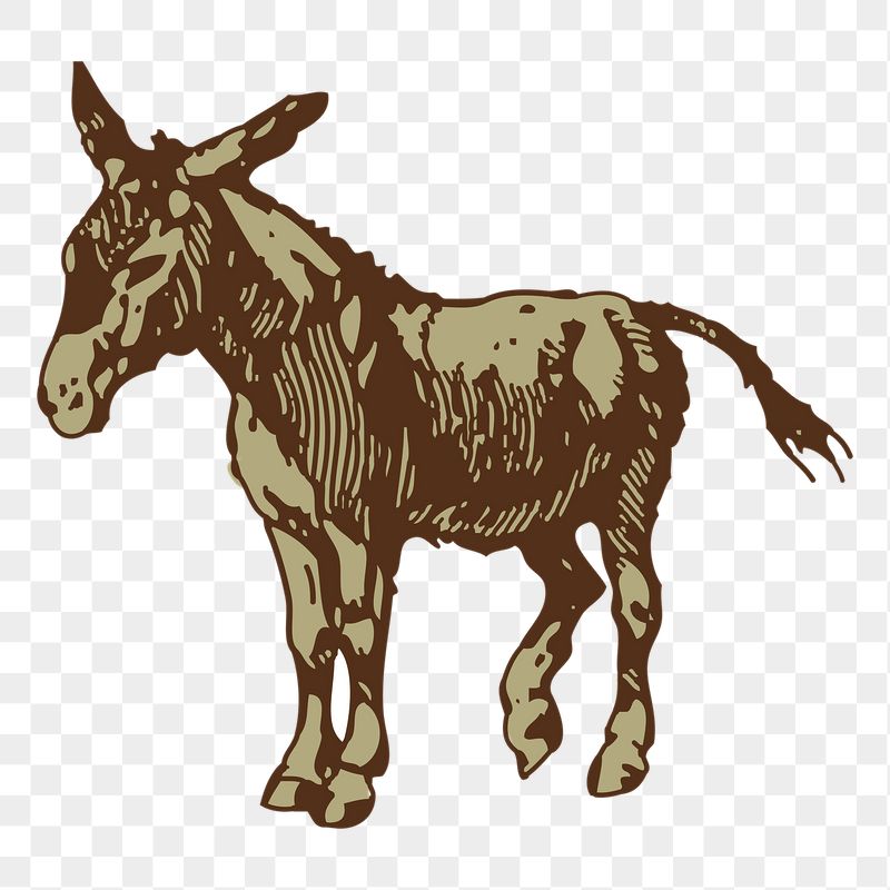 Donkey png sticker illustration, transparent | Free PNG - rawpixel