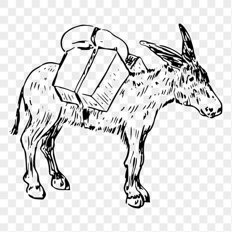 Donkey with luggage png sticker | Free PNG - rawpixel