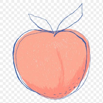 Doodle art fruit peach png sticker