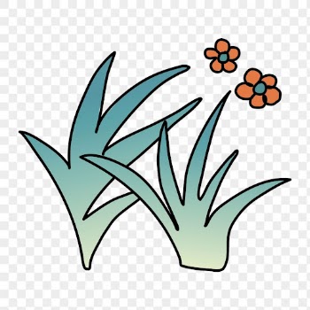 Doodle grass png sticker, transparent | Free PNG Sticker - rawpixel