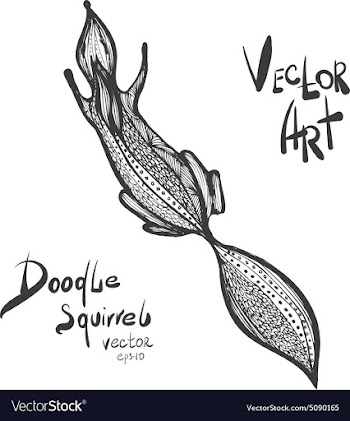 Doodle squirrel vector image