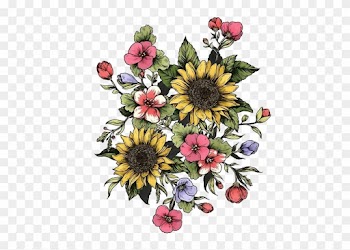 Doodles - Sunflowers And Roses Drawing