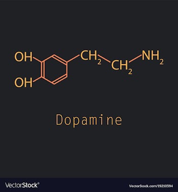 Dopamine icon vector image