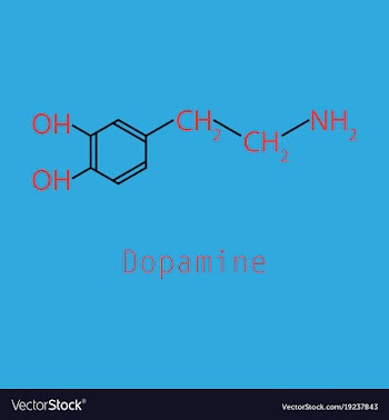 Dopamine icon vector image