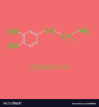 Dopamine icon vector image