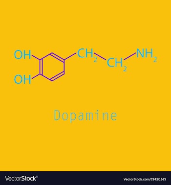 Dopamine icon vector image