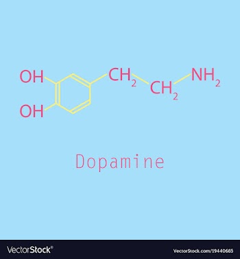 Dopamine icon vector image