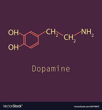 Dopamine icon vector image