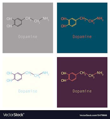Dopamine icon vector image