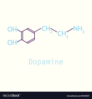 Dopamine icon vector image