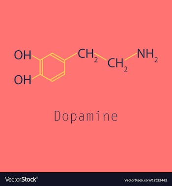 Dopamine icon vector image