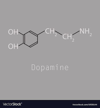 Dopamine icon vector image