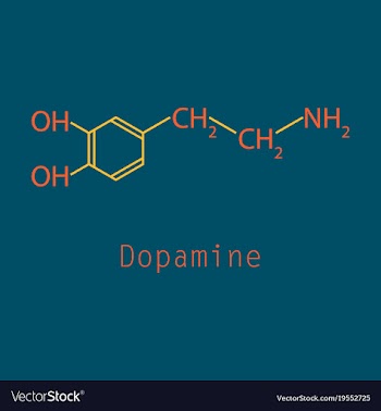 Dopamine icon vector image