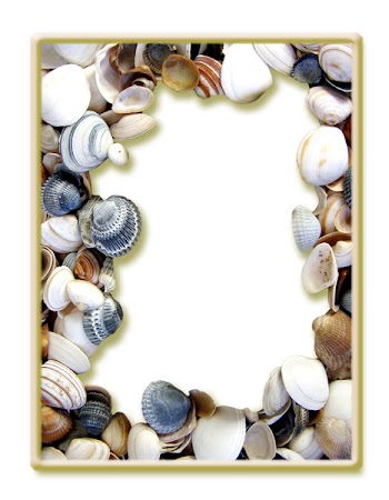 Dorne_shellframe2.jpg