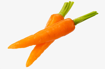 Dos Zanahorias Zanahoria Dos Rábanos Fig La Fotografía Rábano ...